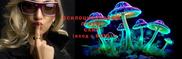 молекула духа Володарск
