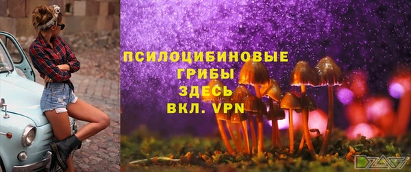 трава Апатиты
