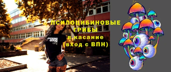 молекула духа Володарск