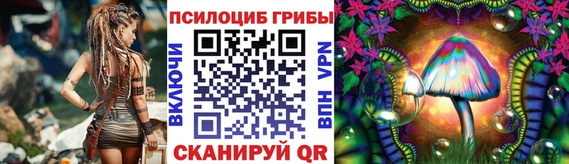 гидра зеркало  цены   Калач  Псилоцибиновые грибы MAGIC MUSHROOMS 